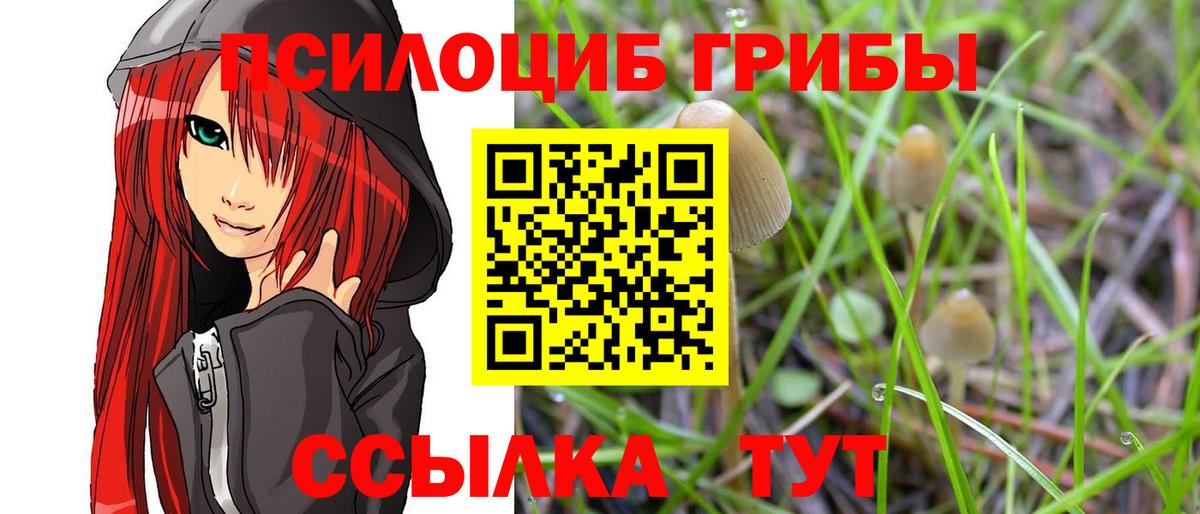 Галлюциногенные грибы Cubensis Тула