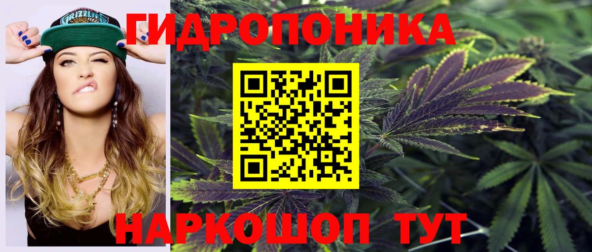 Каннабис индика Тула